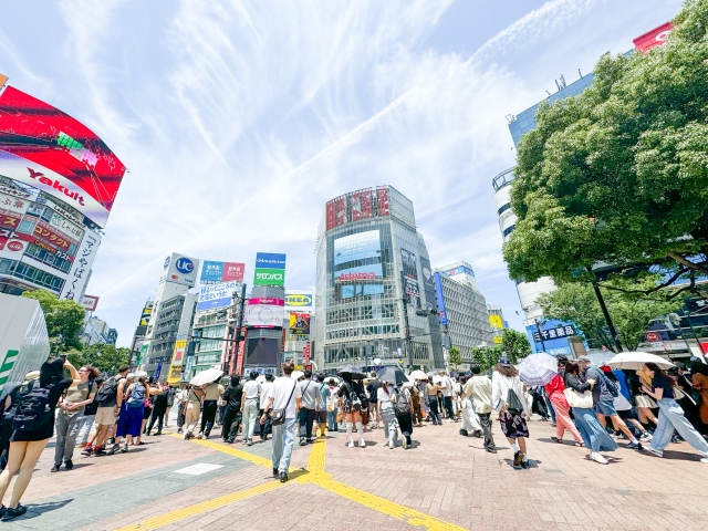 Les souvenirs de Shibuya se trouvent en deux magasins｜Daiso &times; MEGA Don Quijote : articles s&eacute;lectionn&eacute;s et itin&eacute;raire efficace