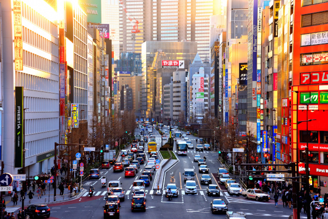 Halal-Friendly Restaurants and Grocery Stores in Shinjuku: A Curated Guide by Area and Category