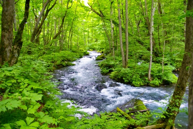 คู่มือท่องเที่ยวรอบลำธาร Oirase Keiryu และทะเลสาบ Towada｜วิธีการเดินทาง การคมนาคม และทัวร์แนะนำ