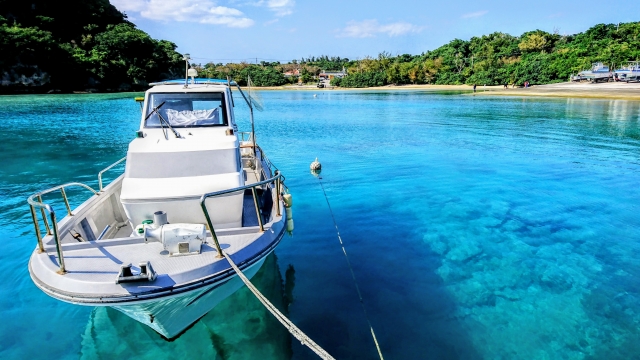 [Okinawa] Want to do serious boat fishing? &mdash; How to choose between a half-day trolling trip from Onna Village and a full-day charter departing from Naha