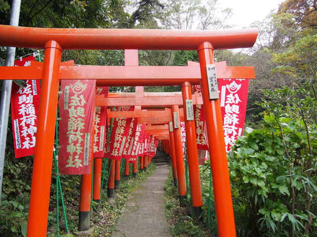 佐助稲荷神社の赤い鳥居からはパワーを感じます