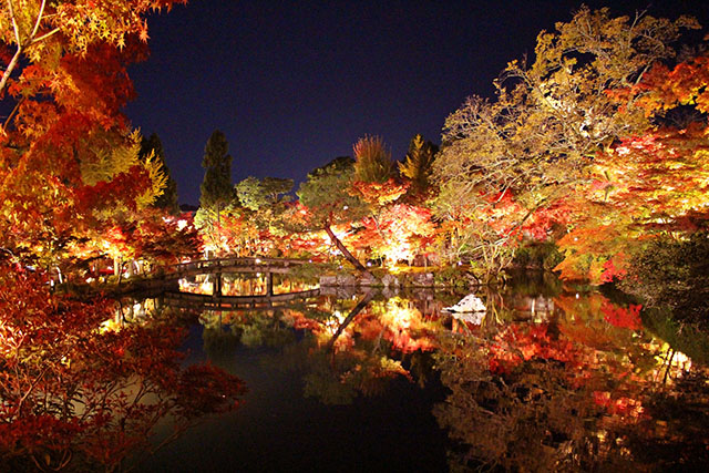 2018年京都 秋天就是看红叶的季节！十大必去景点！