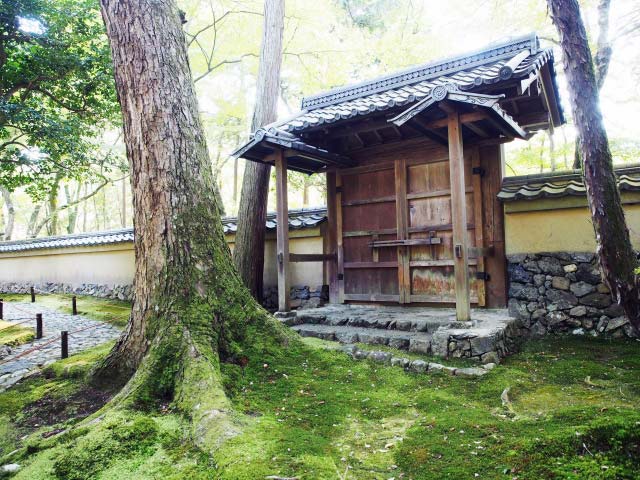苔に覆われた庭園が美しい「西芳寺」（苔寺）