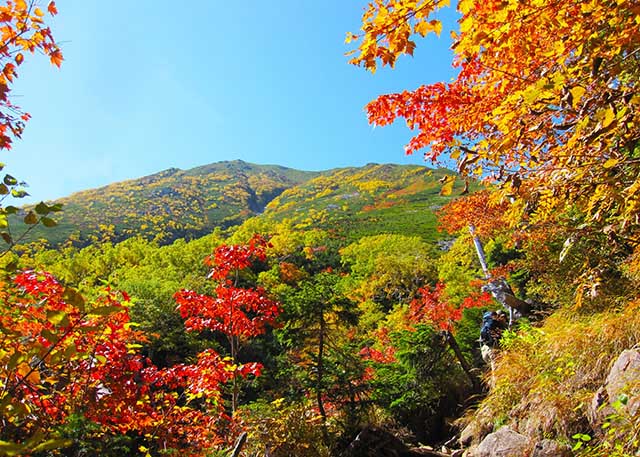 【全国】秋の行楽はここ！登山・トレッキングを楽しむプラン