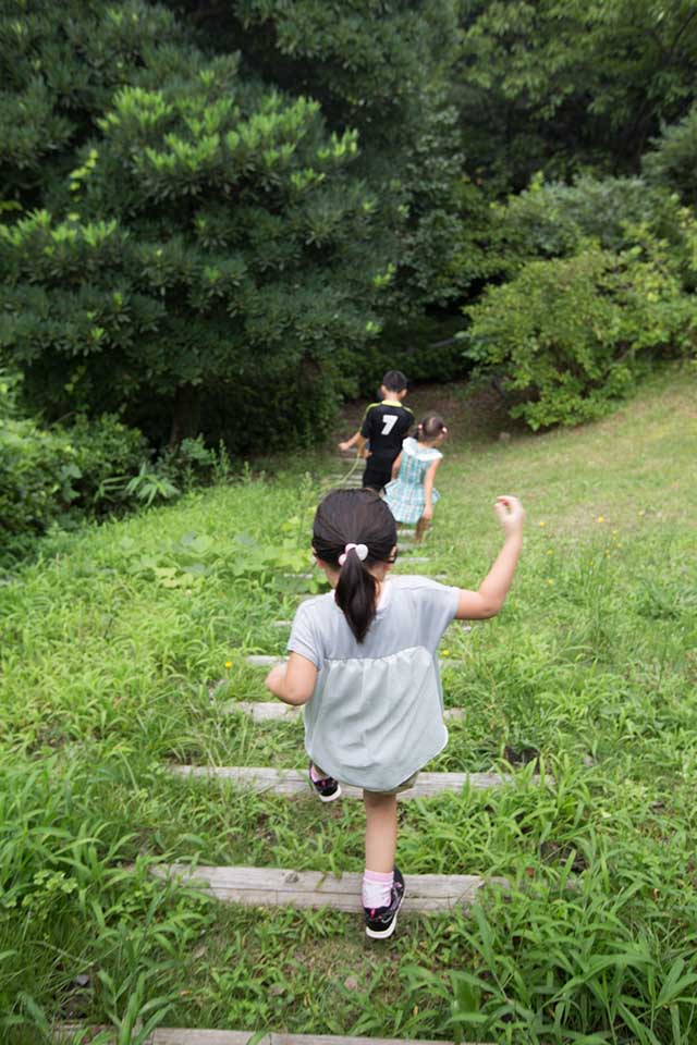 子連れファミリーに人気！神奈川のハイキングコース5選