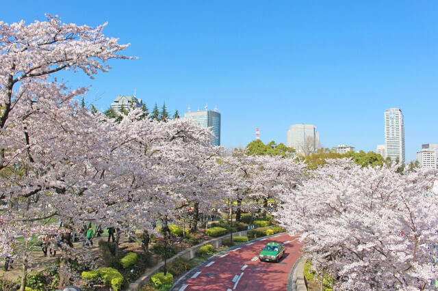 ホテルでラグジュアリーなお花見を！東京の桜の名所ホテル