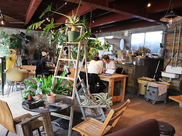 上野・谷中・根津】レトロな空間！リノベ古民家カフェ散歩♪観光にも