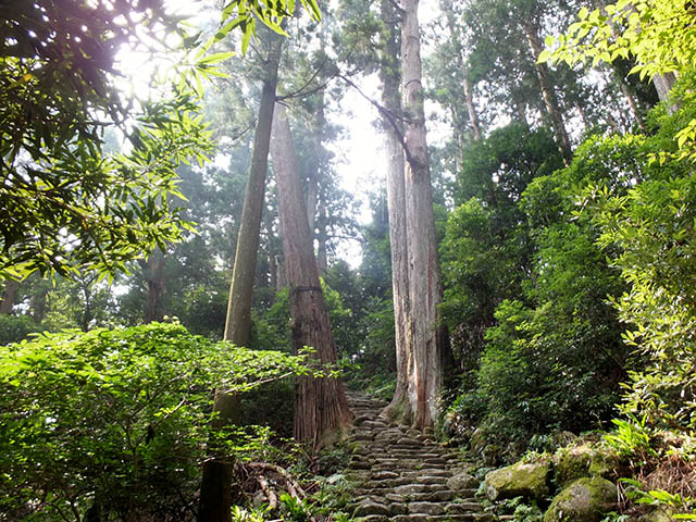 「熊野本宮」の聖地へと続く「熊野古道」は世界遺産にも選ばれています。