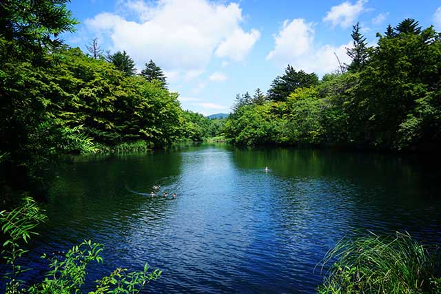 雲場池