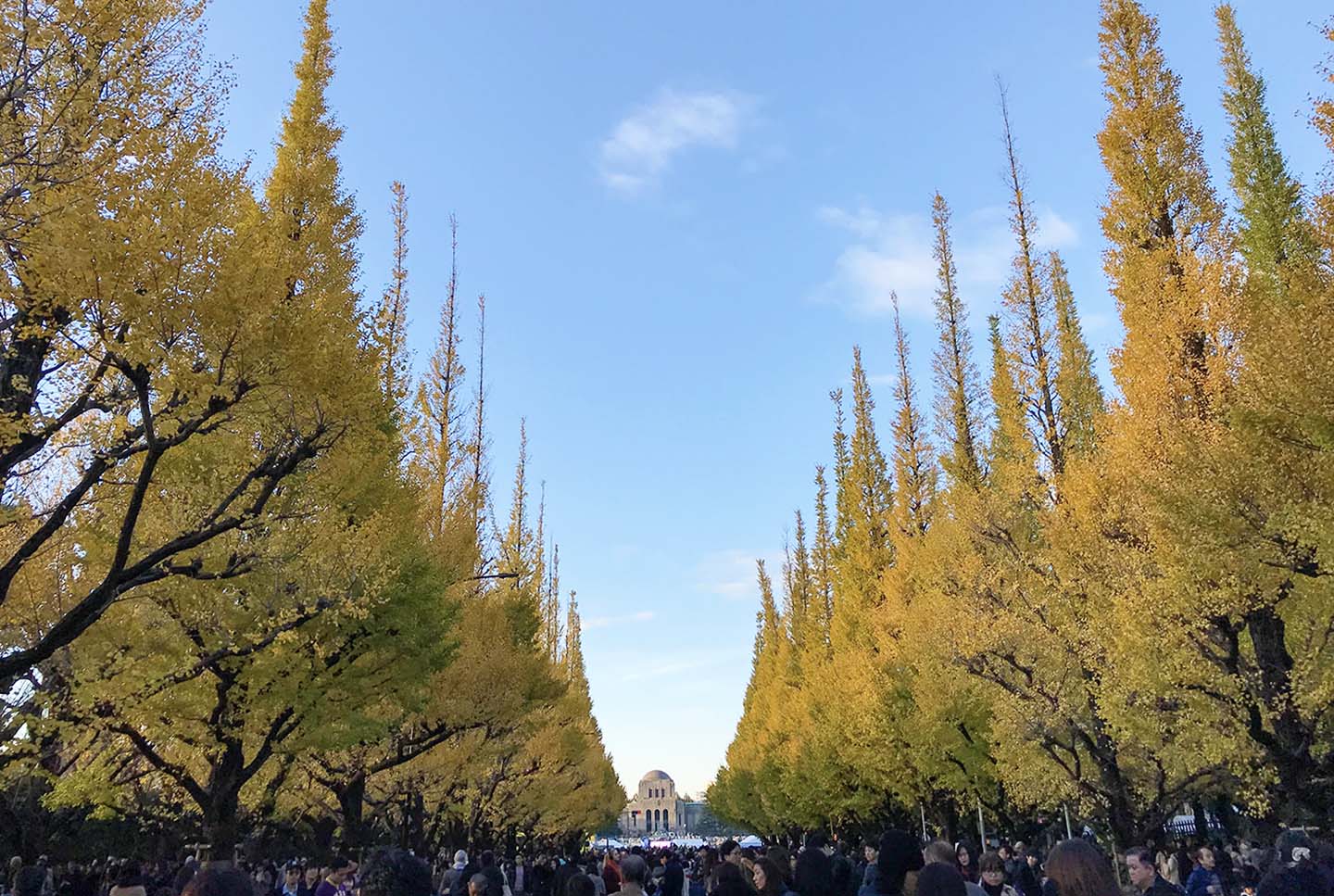 【2022年関東】都内から日帰り可能な紅葉名所30選！｜見頃＆イベント情報も