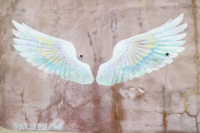 糸島　エンジェルウィング