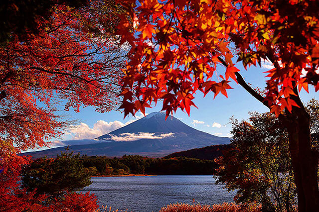「富士河口湖紅葉まつり」