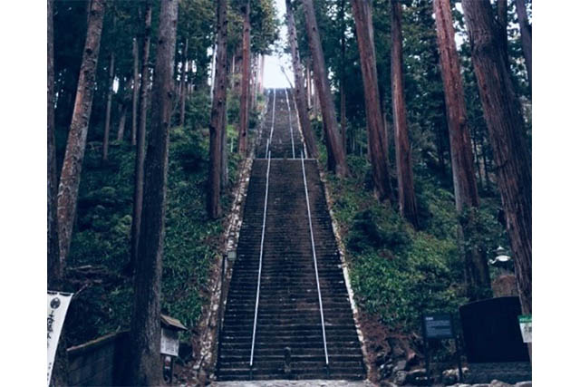 この287段もの石段「菩提梯」を登って「身延山久遠寺」へ。