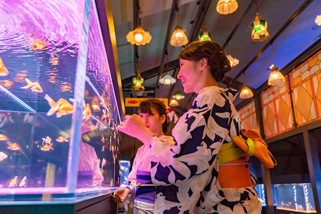 すみだ水族館で開催される「東京金魚ワンダーランド2019」。浴衣で行くとさらにフォトジェニックですね。