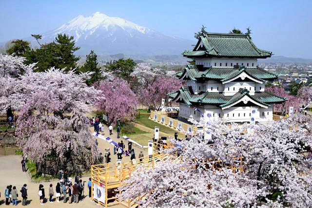 春は桜と弘前城を見にたくさんの観光客が！