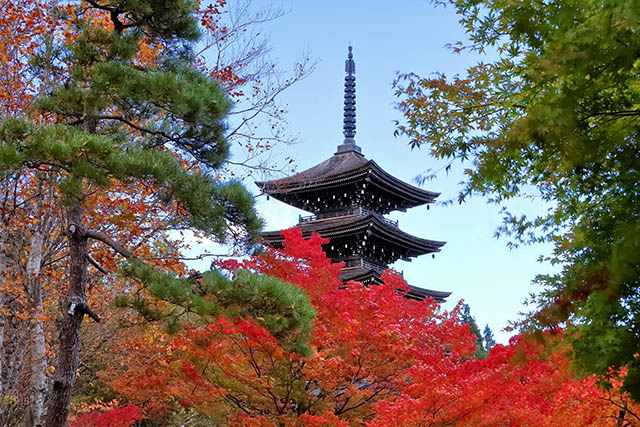 紅葉の季節に特におすすめの五重塔