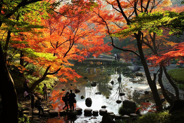 都内で楽しめる紅葉が美しい日本庭園5選