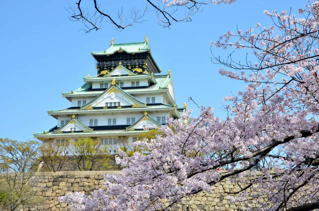 大阪城公園　桜とお城のコラボレーション