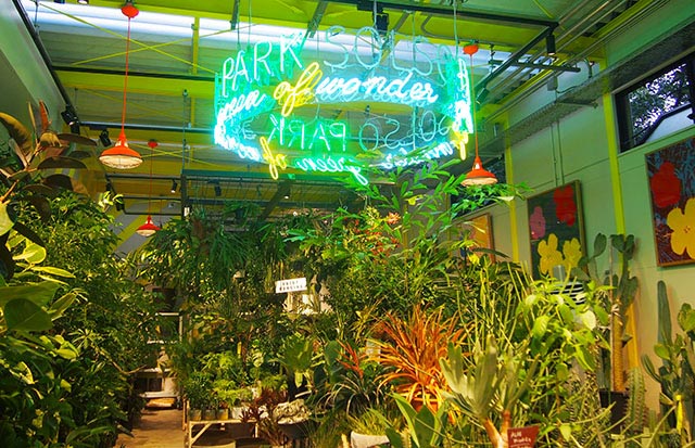 東京】“おうち時間”を充実させる！おしゃれな「観葉植物」が買える店3