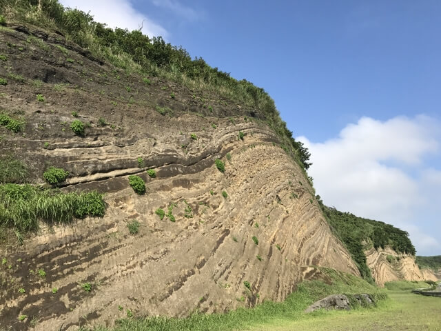 伊豆大島の断層