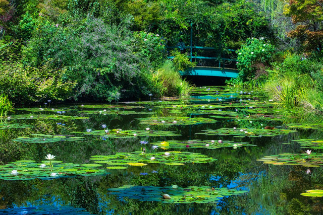 北川村「モネの庭」マルモッタン　水の庭