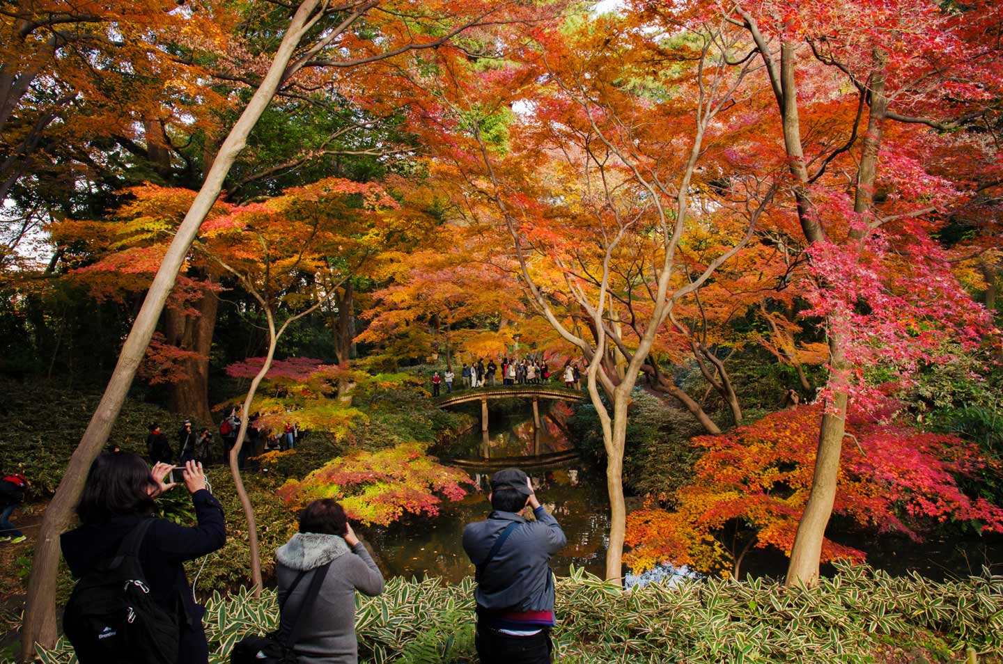【全国】秋の絶景！紅葉が楽しめる日本庭園ベスト10｜イベント＆アクセス情報も