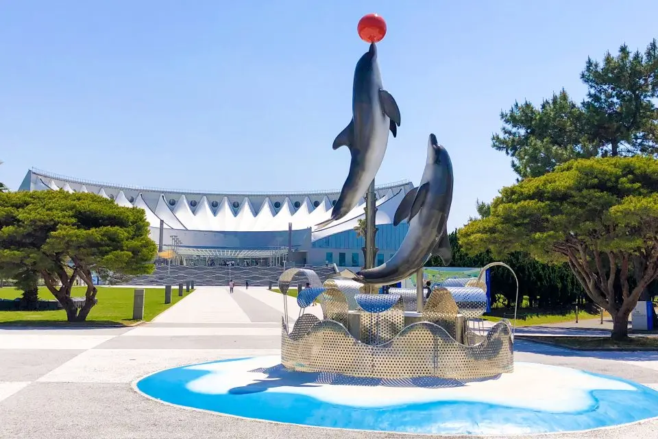 マリンワールド海の中道