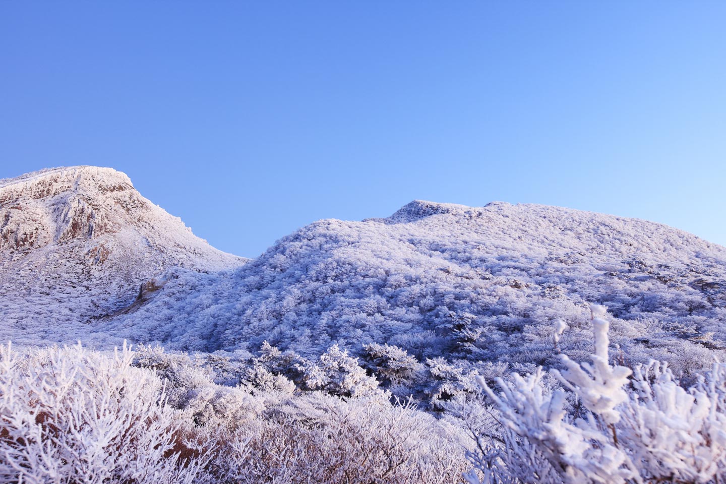 【九州冬旅】冬の九州は穴場！あえて冬に行きたい絶景スポット7選｜雪景色や初日の出の名所も