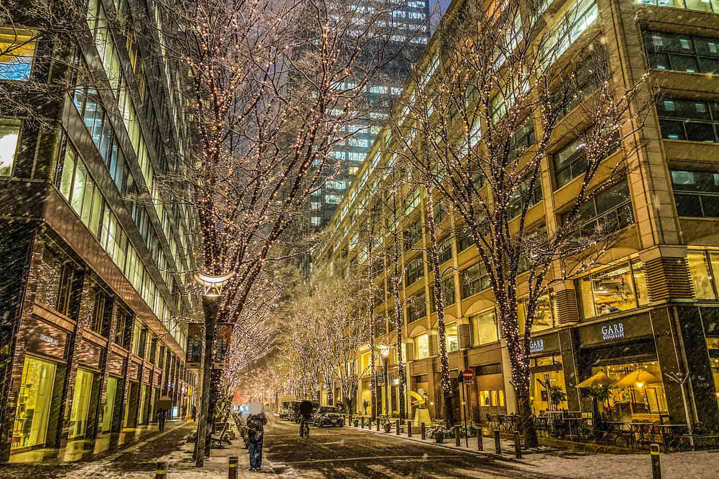 【東京】雪が降ったら行きたい！「冬の絶景雪景色スポット8選」