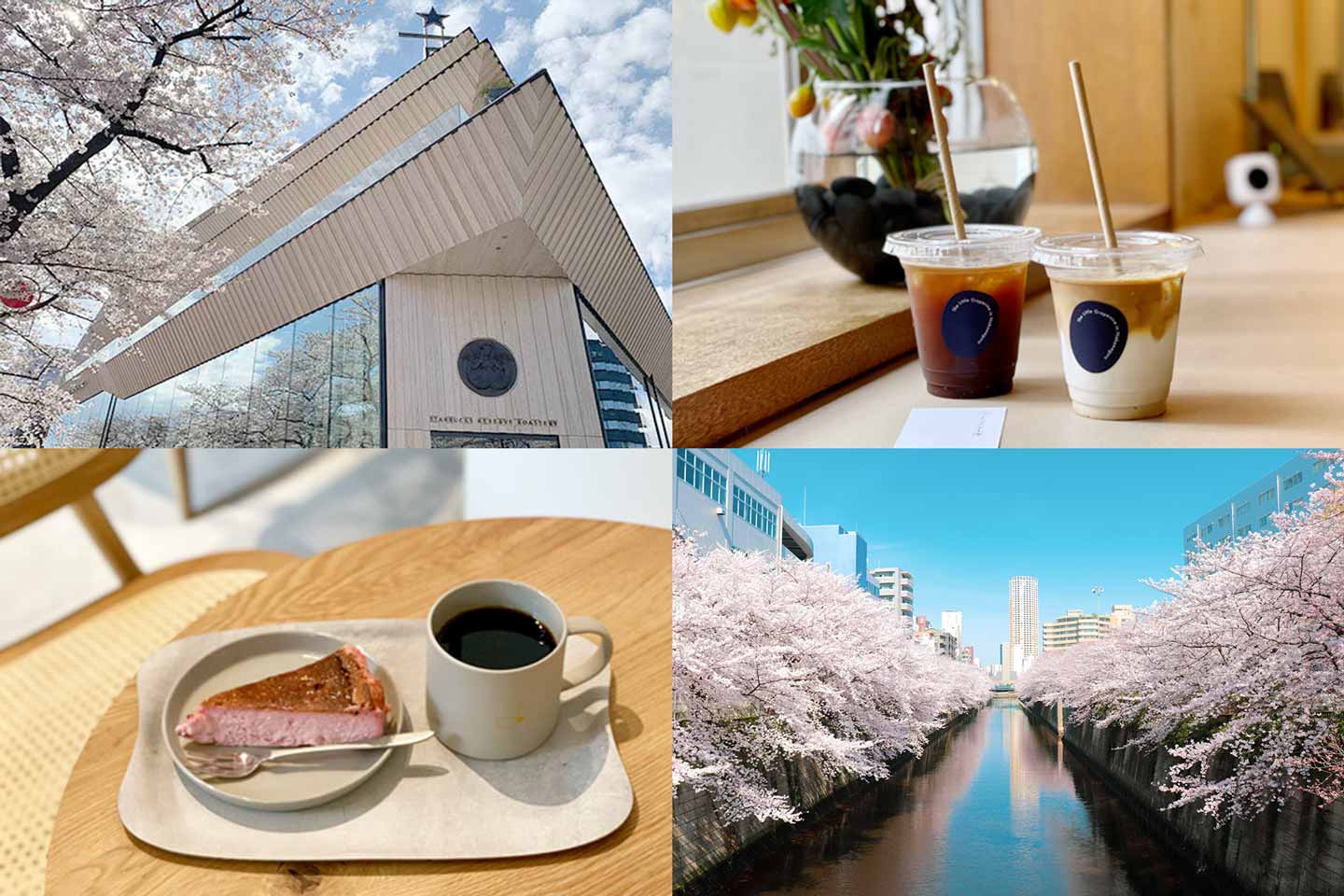 【中目黒2023】花見シーズンに！目黒川近くのカフェ10選｜桜が見える川沿いカフェも