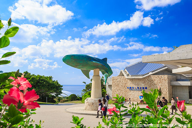 沖縄北部の子連れにおすすめの観光スポット