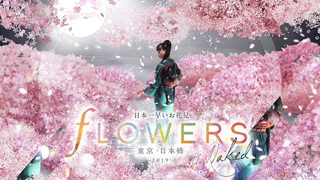 全日本最早的櫻景「FLOWERS BY NAKED」
