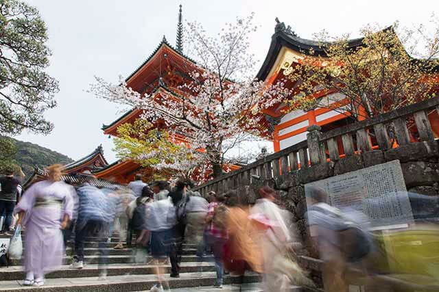14 of the Best Activities in Kyoto
