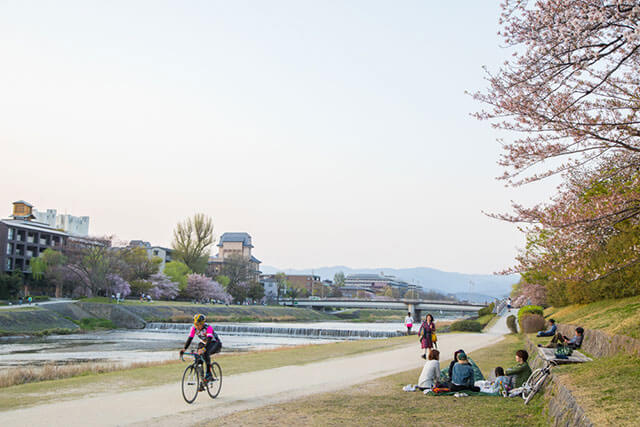 See the sights of Kyoto on a cycling tour