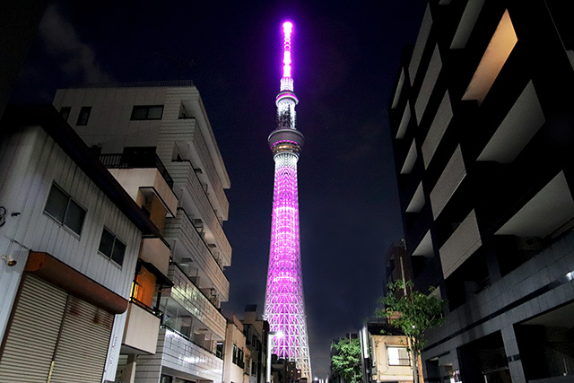 Sky Tree lit up in pink during pink ribbon day