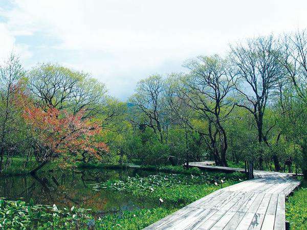 Hakone Botanical Garden