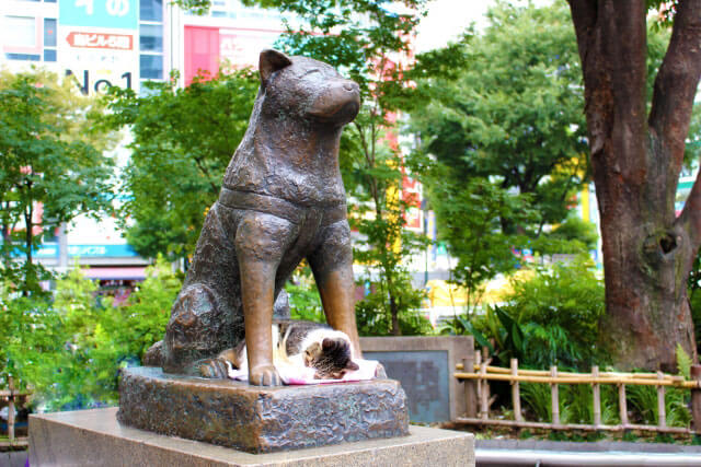 Hachikō Statue