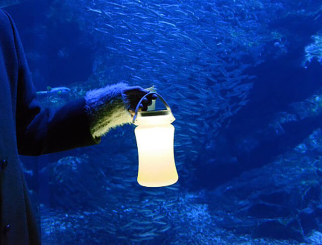Night-time Aquarium