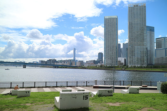 20 of the Best Things to Do in Toyosu