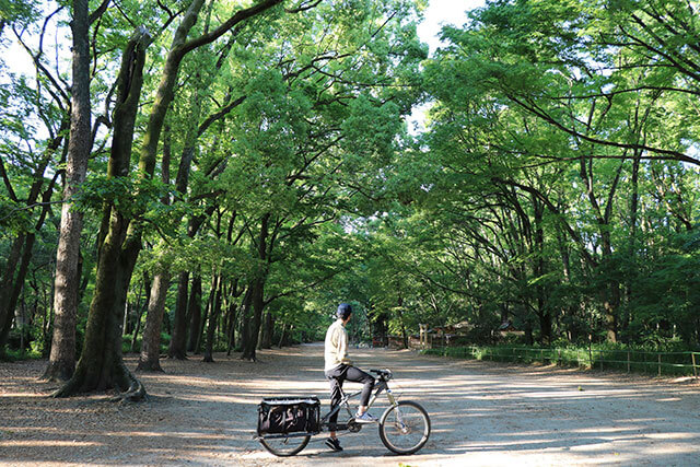 The Good Day Velo:  Early Morning Bike Tour in Kyoto