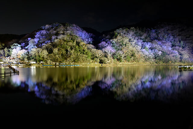 Illuminated Arashiyama (C)Kyoto Hanatouro Promotion Council