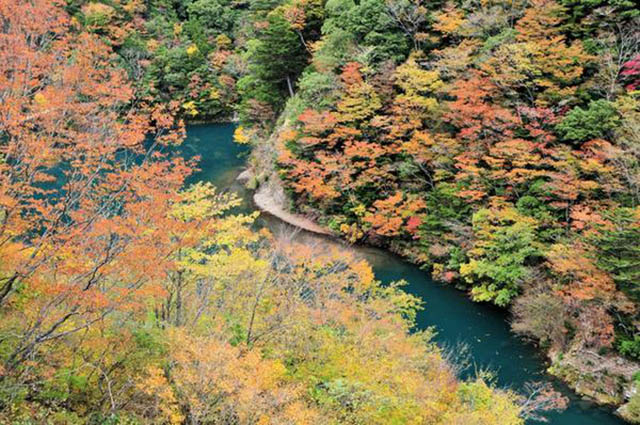 Unmissable Autumn Leaf-viewing spots in Japan | Japan Travel by ...