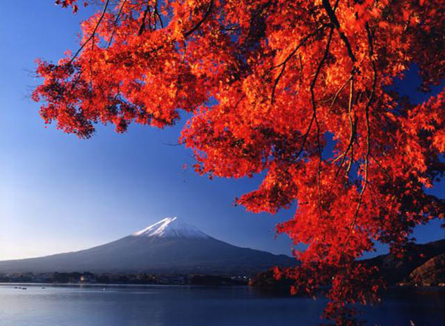 일본의 가을 여행, 전국 단풍 명소 특선