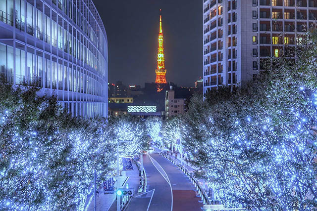 2019 Christmas Illumination & Light Shows, Winter Events Near Tokyo