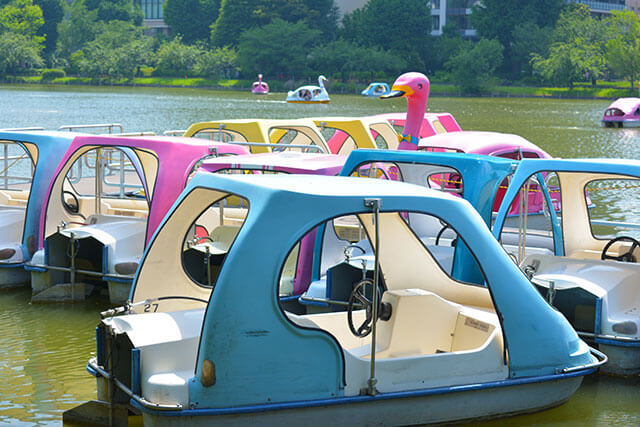 上野公園划船體驗