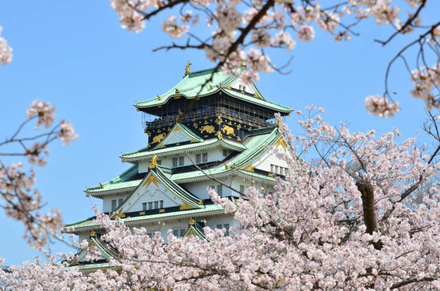 Osaka 2024: 7 of the best cherry blossoms viewing spots