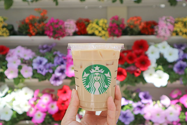 坐在溫室裡喝咖啡！【東京近郊】享受四周被花朵環繞的「星巴克咖啡HANA・BIYORI店」