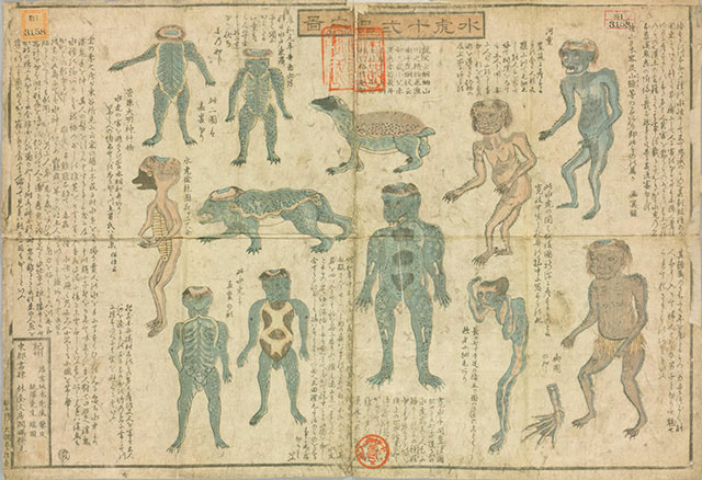 Illustrated Guide to 12 Types of Kappa (水虎十弐品之圖) from National Diet Library, Tokyo, Japan.