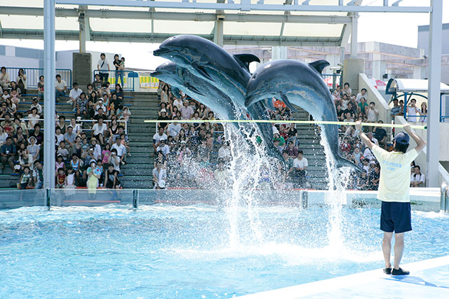 Niigata City Aquarium Marinepia Nihonkai