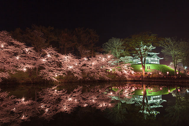 Takada Castle Site Park with its cherry blossom